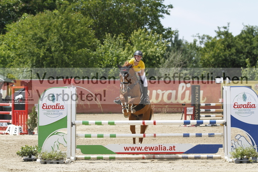 _MG_5580 | equestrian-live-com