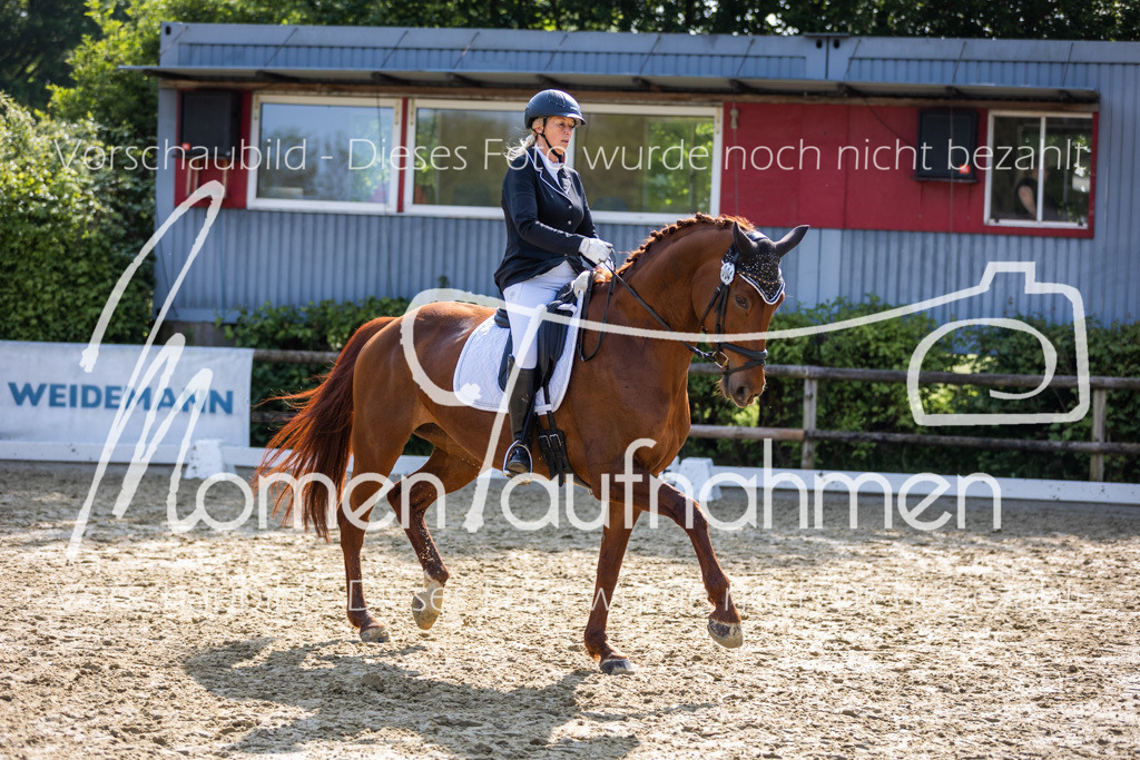 Donop24-A2-Dre-043 | MomenTaufnahmen Pferdesportfotos