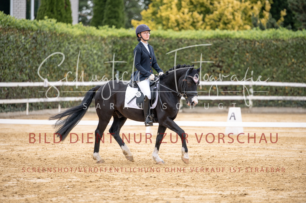 Schugtsche-Aluta25-40.DressurprfA_-468 | Schugtsche Fotografie - Realisiert mit Pictrs.com