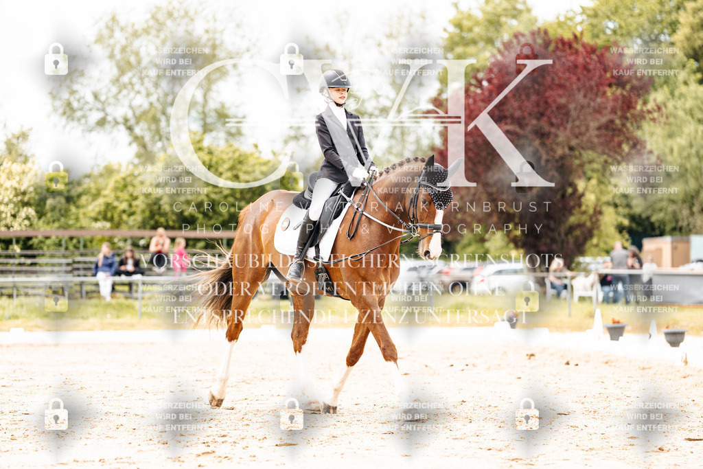 CK902914 | Turnierfotografie Pferdefotografie Trier Rheinland-Pfalz Pferdesport Reitsport Tierfotografie Sportfotografie Pferdevideo Pferdevideografie Equestrianvideography equestrianphotography  - Realisiert mit Pictrs.com