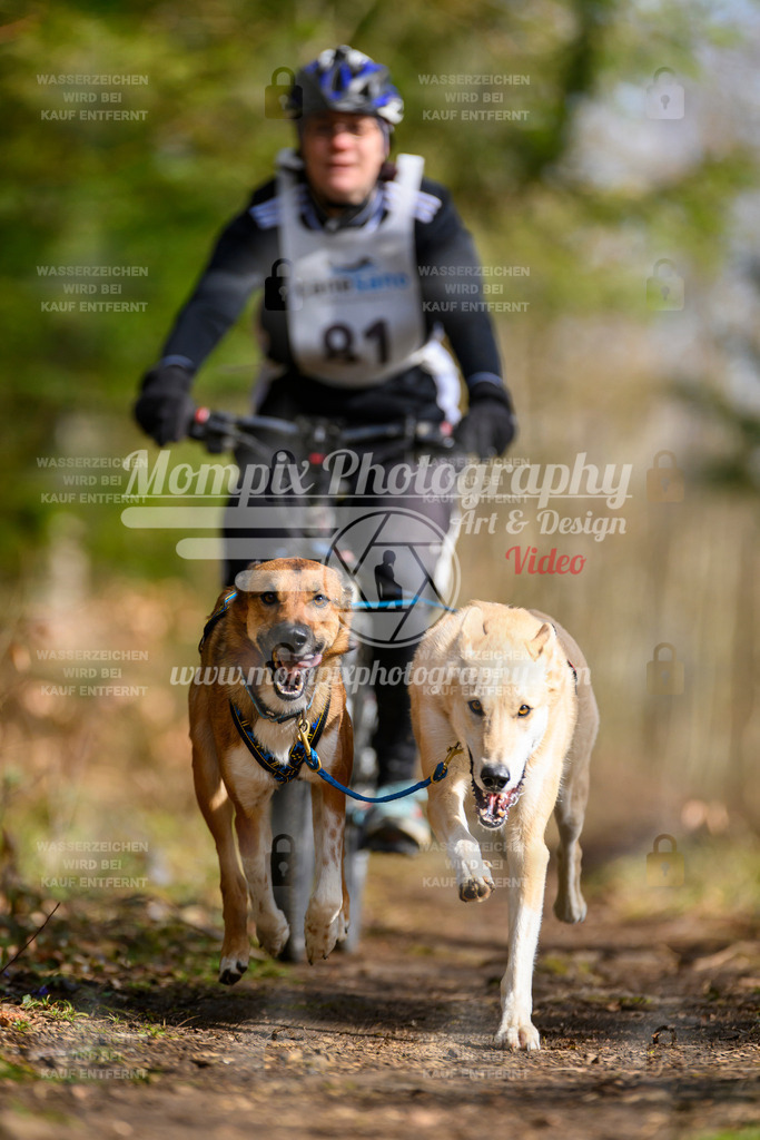 MompixPhotography_ReiatRennen2024_Bike2H-32 | PayLife