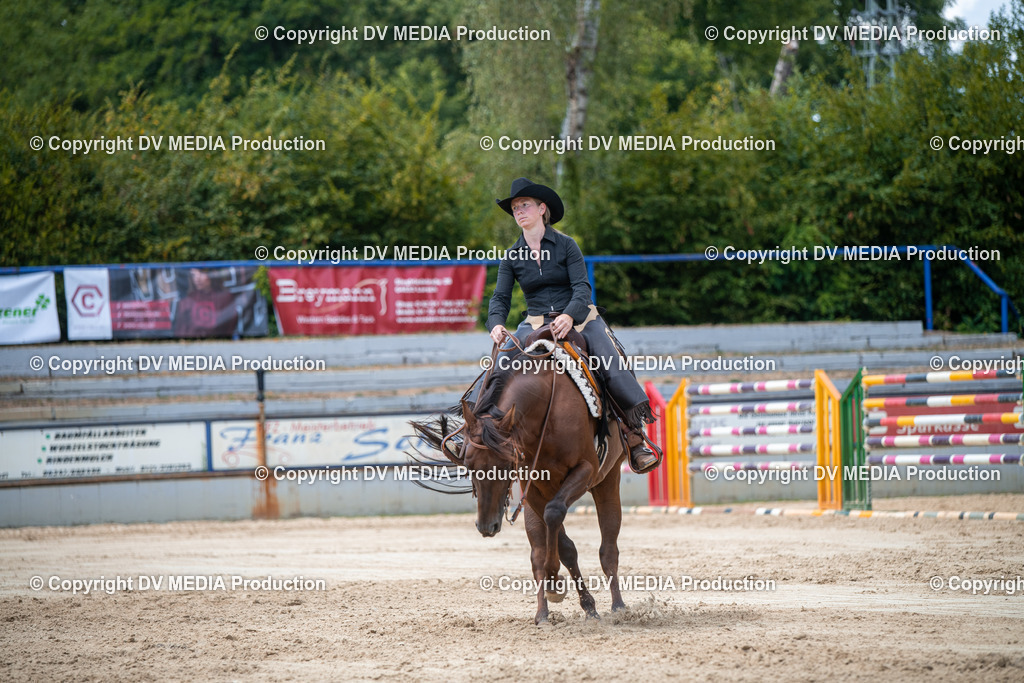 ZS3_9845 | dv-media-shop - Realisiert mit Pictrs.com