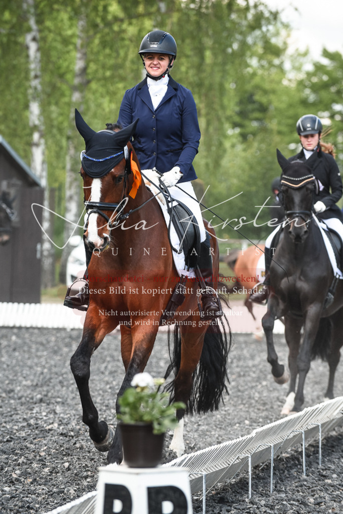 DSC_9091 | Pferde- und Turnierfotografie in Westsachsen. Pferdeportraits, Auftragszeichnungen und intuitive Kunst.