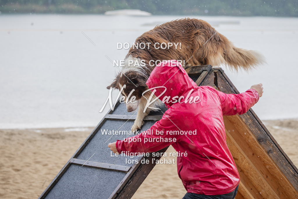 nelerasche_BuHu2026_So1430-1530_155 | nelerasche
