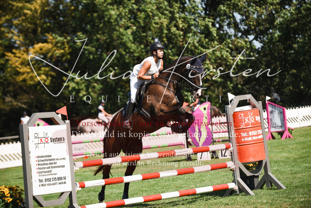 DSC_2863 | Pferde- und Turnierfotografie in Westsachsen. Pferdeportraits, Auftragszeichnungen und intuitive Kunst.