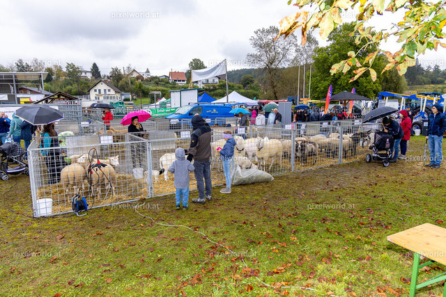SchaZie-Tag Feldkirchen | Bildershop von pixelworld.at - Realisiert mit Pictrs.com