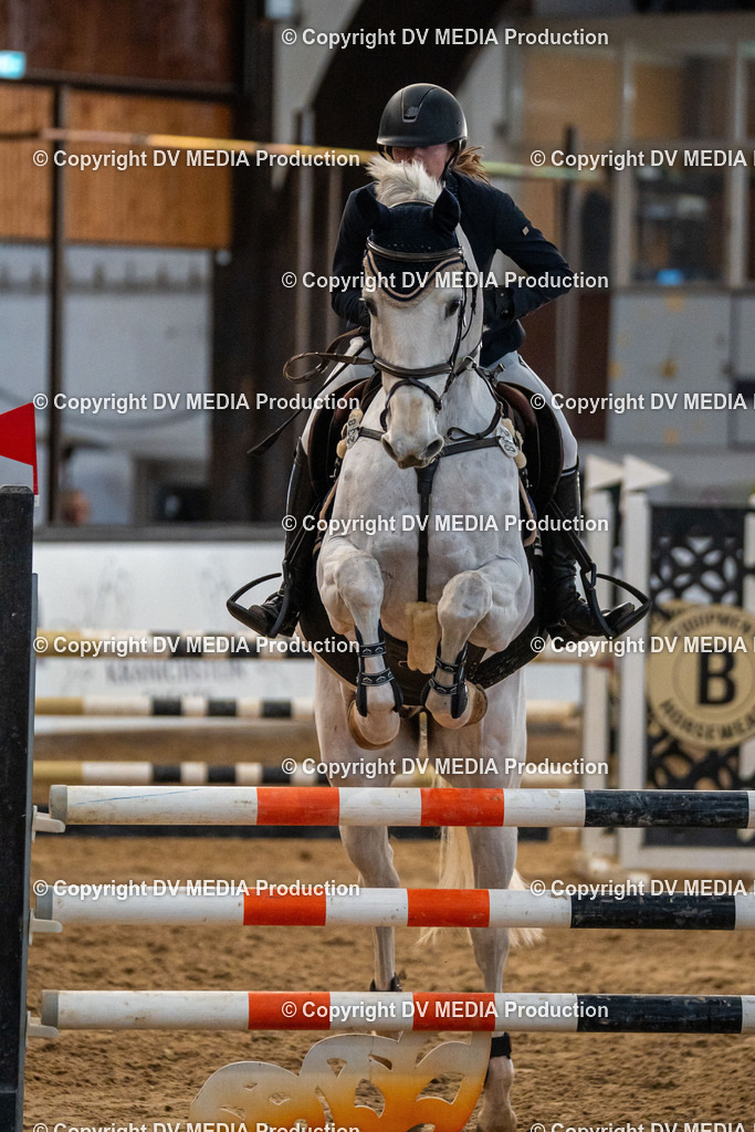 Kranichstein Tag 2-031 | dv-media-shop - Realisiert mit Pictrs.com