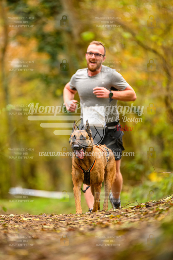 MompixPhotography_Bischwiller24_SA_Canicross-157 | PayLife