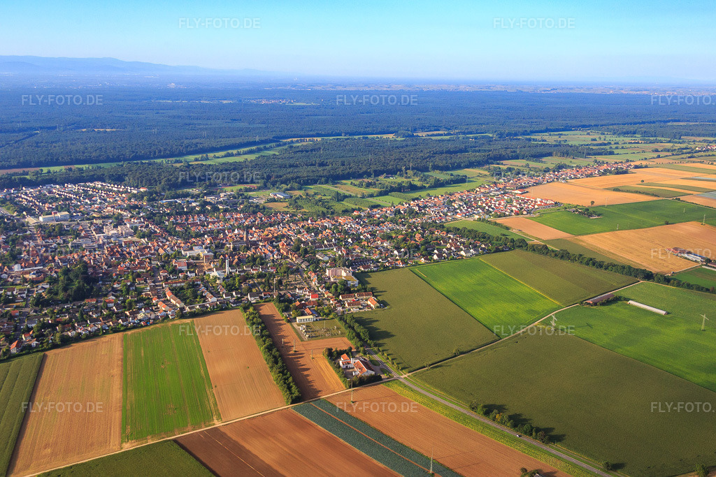 Luftbild: Stadtansicht aus Norden Gutenbergstr in Kandel im Bundesland Rheinland-Pfalz in Deutschland. Foto: IMG_092836.jpg vom 13.08.2016 durch Werner Riehm/FLY-FOTO.de