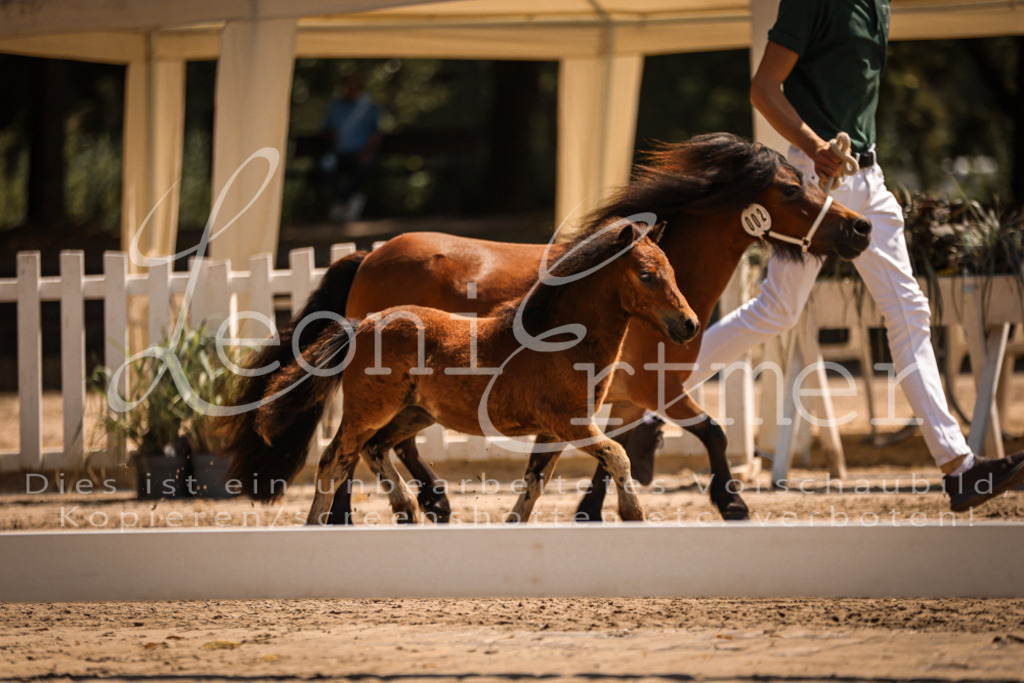 01.DoKR00049 | Leoni Ertmer Photography - Realisiert mit Pictrs.com