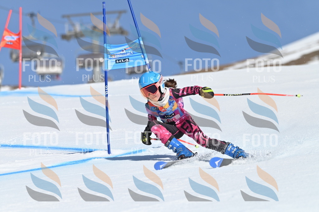 BGV_8873 | holidayphoto