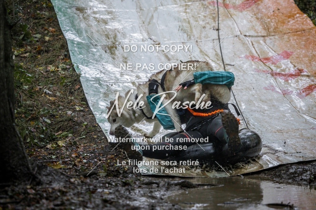 nelerasche_Hunsrück_Sa1200-1230_201-final | nelerasche