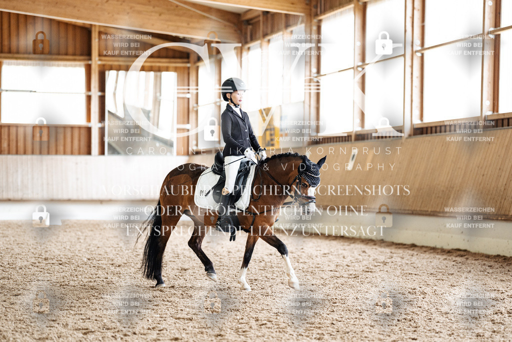 CK901387 | Turnierfotografie Pferdefotografie Trier Rheinland-Pfalz Pferdesport Reitsport Tierfotografie Sportfotografie Pferdevideo Pferdevideografie Equestrianvideography equestrianphotography  - Realisiert mit Pictrs.com