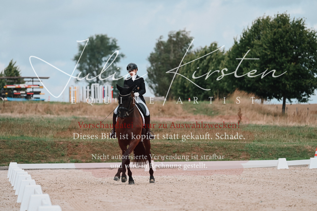 DSC_4165 | Pferde- und Turnierfotografie in Westsachsen. Pferdeportraits, Auftragszeichnungen und intuitive Kunst.