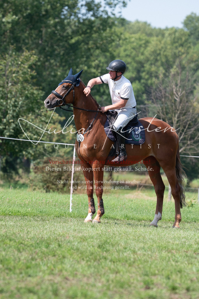 DSC_0624 | Pferde- und Turnierfotografie in Westsachsen. Pferdeportraits, Auftragszeichnungen und intuitive Kunst.