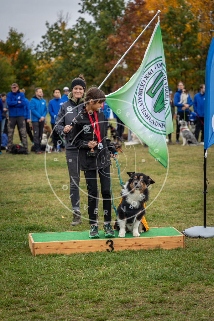 Pfotenfotografie_0L8A0498 | Hundefotografie, Tierfotograf, Pfotenfotografie, Fotoshooting Hund, Hunde Portrait, Hundesport, Hundeportraits, Heideshooting, Hunde, Sportfotograf, Hundefotograf, Turnierhundsport, THS,  - Realisiert mit Pictrs.com