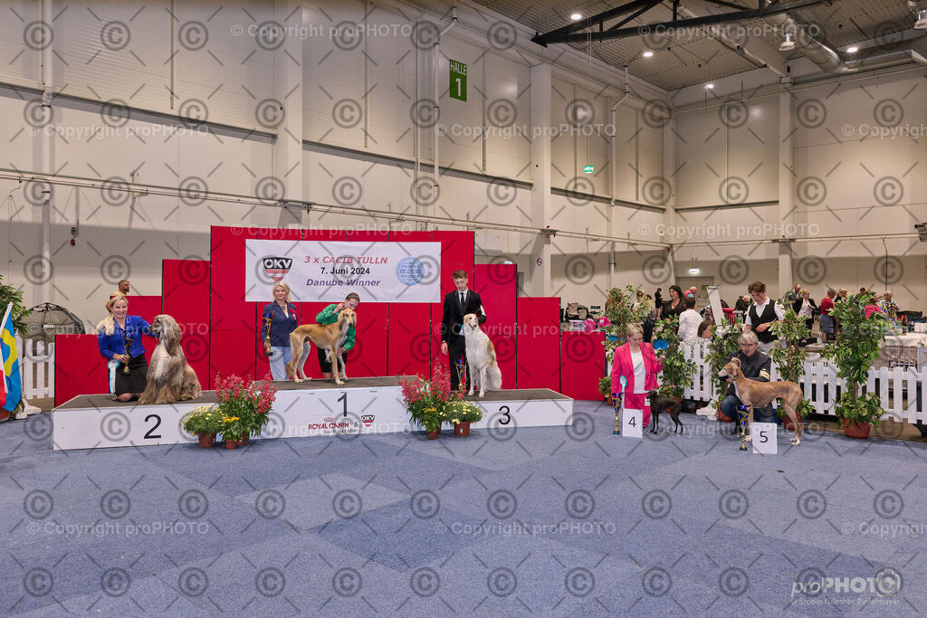 202406_ÖKV-IHA-Tulln24_NZ9_7891 | proPHOTO - Realisiert mit Pictrs.com