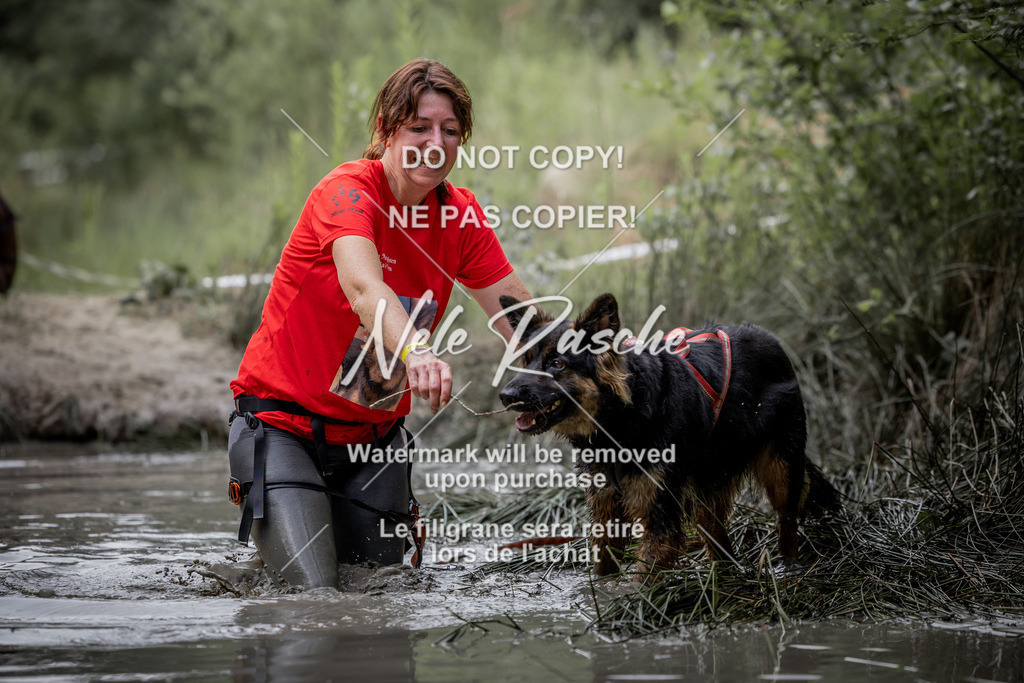 nelerasche_so0800-0930_324 | nelerasche