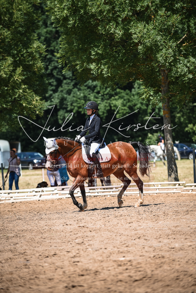 DSC_3152 | Pferde- und Turnierfotografie in Westsachsen. Pferdeportraits, Auftragszeichnungen und intuitive Kunst.