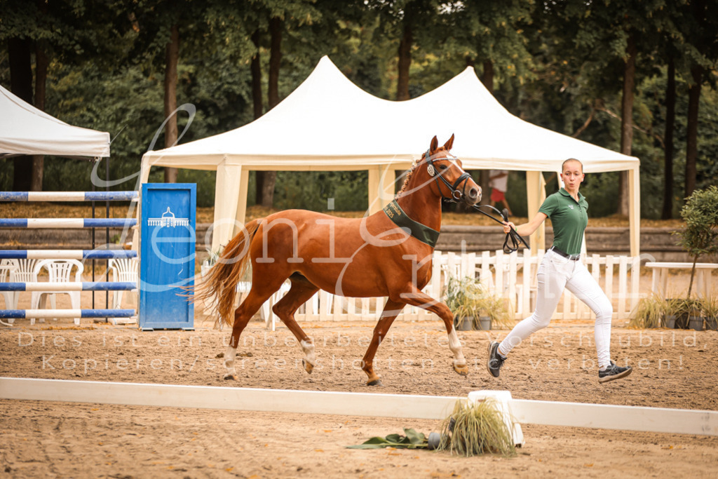 07.So00129 | Leoni Ertmer Photography - Realisiert mit Pictrs.com