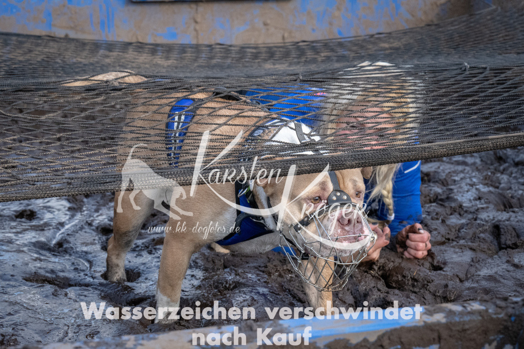 1613_ZZ92011 | kk-dogfotos