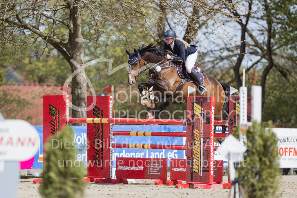 230501_SpengeW_M2St-158 | Deine schönsten Turniermomente als professionelle Fotos! Entdecke hochwertige Pferdesport-Fotografie im Online-Shop. Jetzt Fotos finden & bestellen!