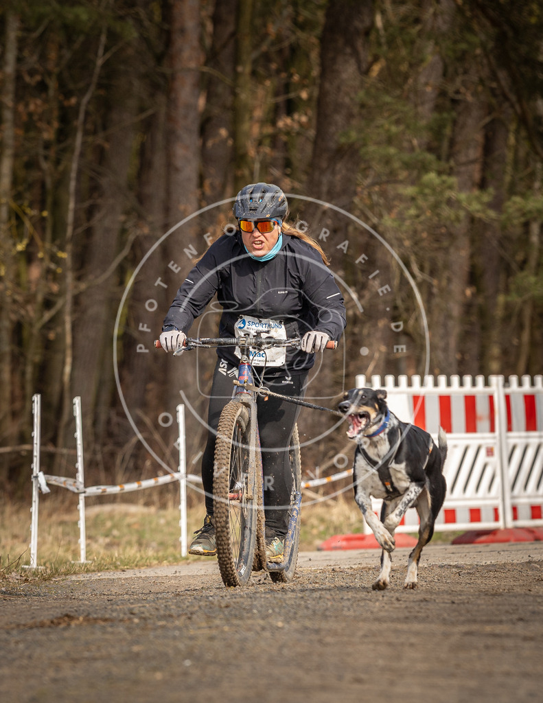 DV3A4733 | Hundefotografie, Tierfotograf, Pfotenfotografie, Fotoshooting Hund, Hunde Portrait, Hundesport, Hundeportraits, Heideshooting, Hunde, Sportfotograf, Hundefotograf, Turnierhundsport, THS,  - Realisiert mit Pictrs.com