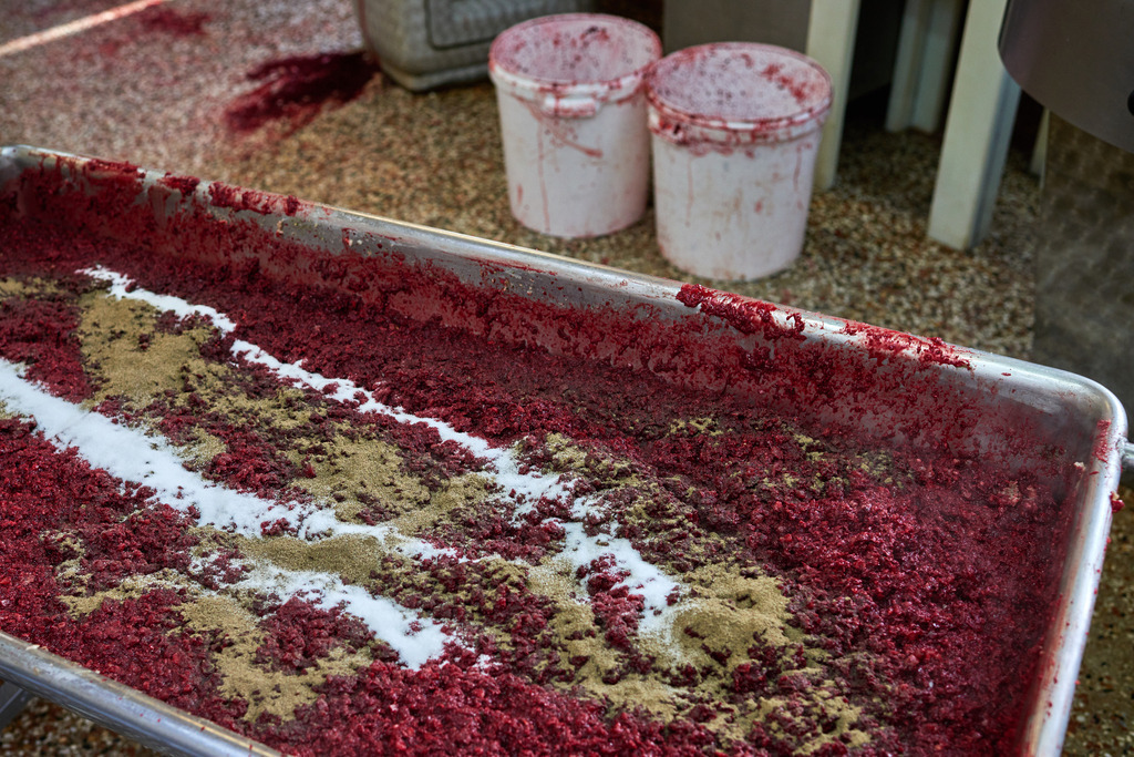 Fleischerei Dormayer | Langenzersdorf, Austria - February 12, 2019: Fleischerei Dormayer - Blutwurst Herstellung; das vermengte Brät mit Blut, Salz und Gewürze. - Realisiert mit Pictrs.com