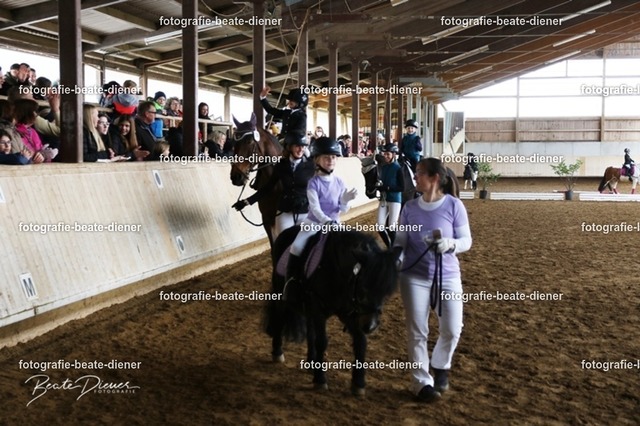 JugendTrophy.II0361 | Fotografie, Tiere, Hunde, Katzen, Pferde, Sportfotografie, Fotosession, Tierfotografie, Turnierfotografie, Fotografin, Fotograf - Realisiert mit Pictrs.com