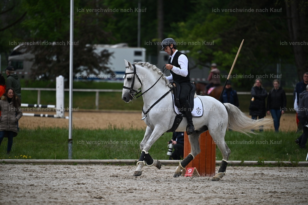 PI26_SP_Sara_Landvogt_226_4791.JPG | working equitationturnier fotograf videograf stoibphotography marixx film working equitation deutschland reitsport turnierfotografie eventfotografie equestrian events