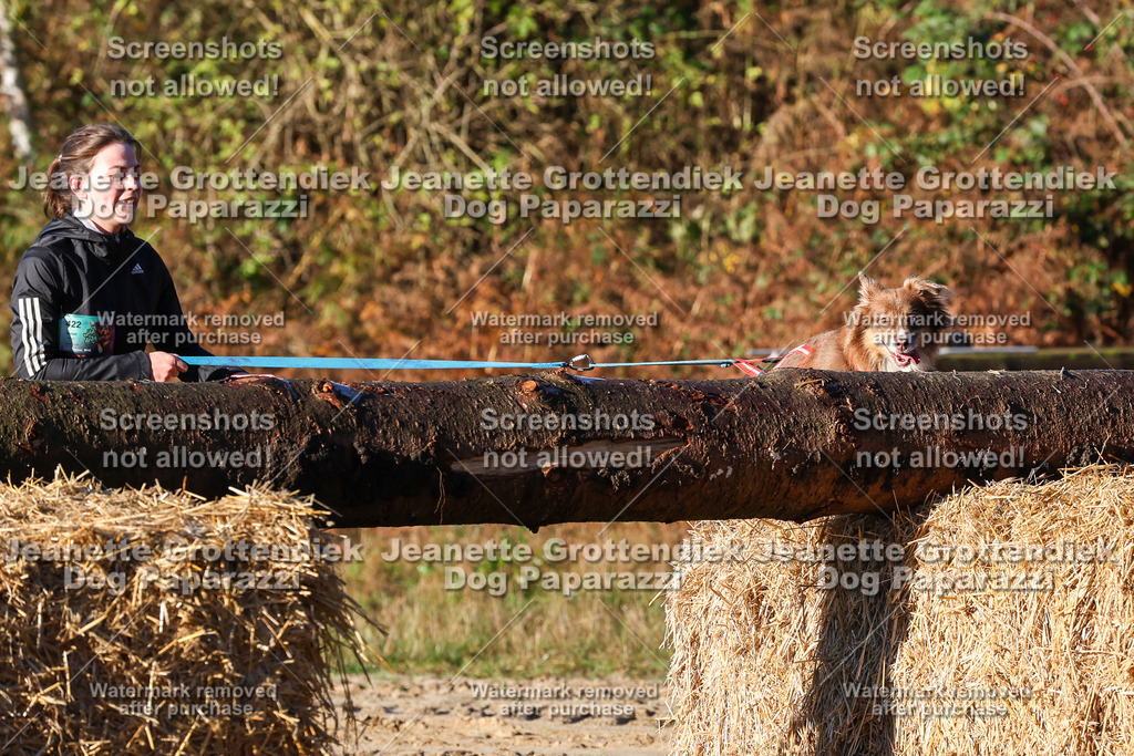 Dog Paparazzi - Strongdog 10-25-1090 | Dog Paparazzi Jeanette Grottendiek Fotografie & Videografie - Realisiert mit Pictrs.com