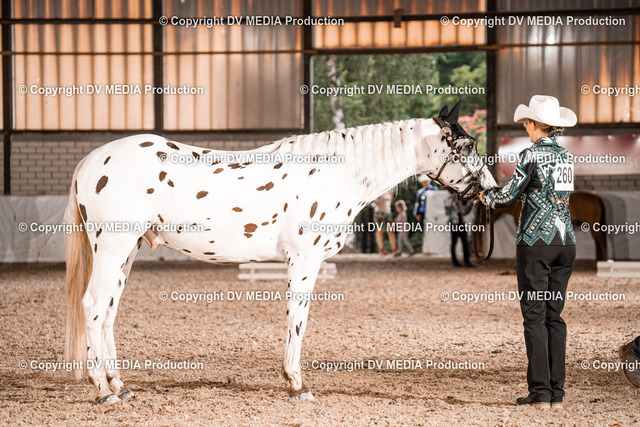 ZH200136 | dv-media-shop - Realized with Pictrs.com