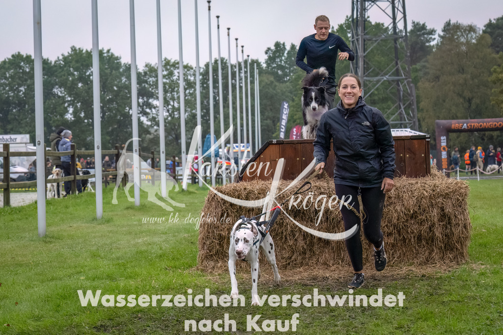 1224--13 | kk-dogfotos