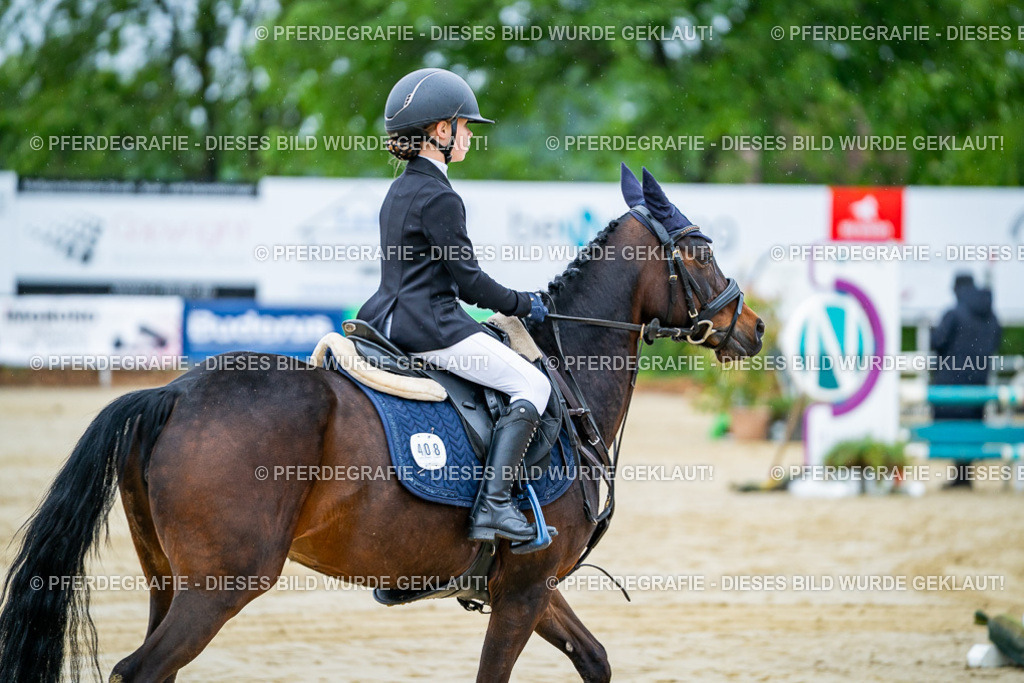 DSC01302 | Pferdegrafie