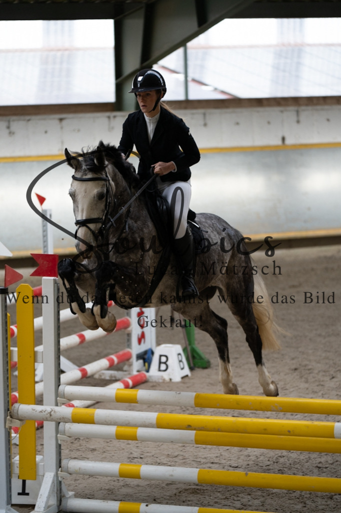 A7V02216 | Pferdefotograf