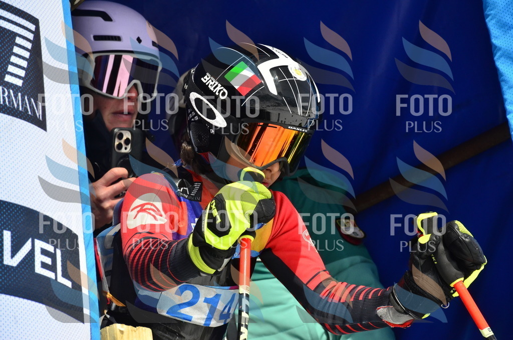 _ELE1491 | holidayphoto