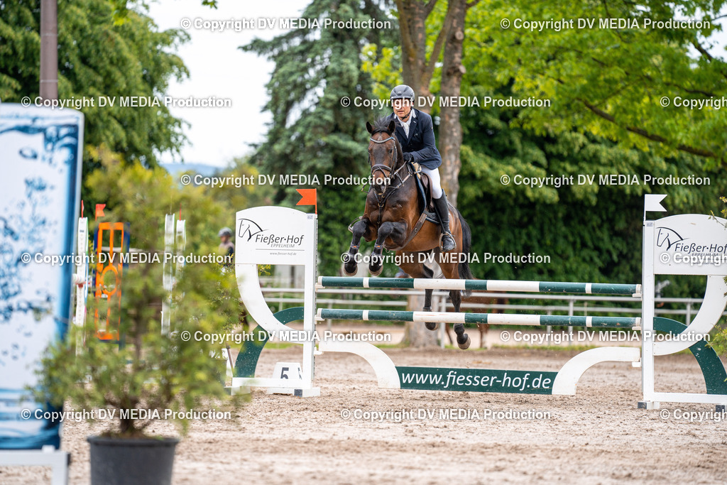 Eppelheim Tag 2-071 | dv-media-shop - Realisiert mit Pictrs.com