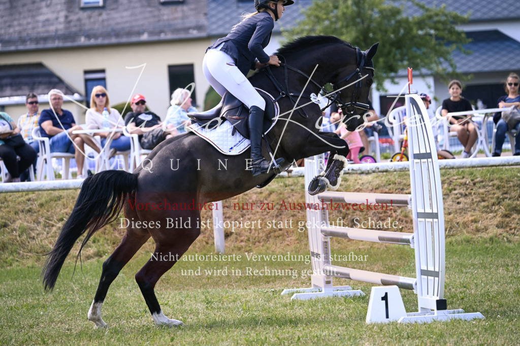 DSC_0288 | Pferde- und Turnierfotografie in Westsachsen. Pferdeportraits, Auftragszeichnungen und intuitive Kunst.