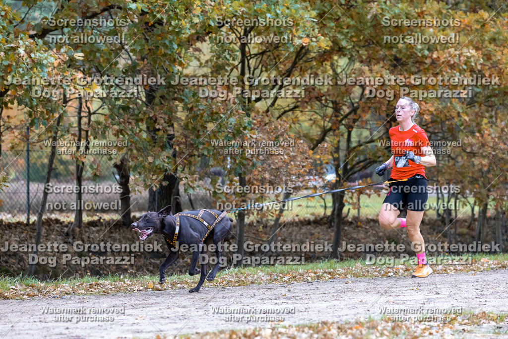 Dog Paparazzi - SD CaniX Championship 2025-402 | Dog Paparazzi Jeanette Grottendiek Fotografie & Videografie - Realisiert mit Pictrs.com