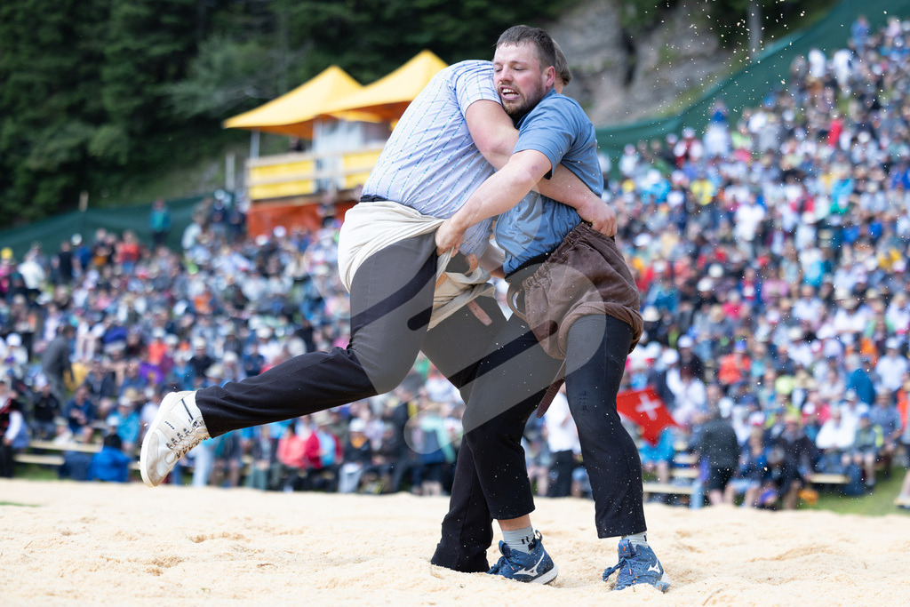 Rigi2025_0699 | Die Schwinger des Schwyzer Kantonalen Schwingerverbandes: Fotos, die Dynamik und Leidenschaft festhalten, sowie emotionale Momente aus dem traditionellen Schwingsport zeigen. - Realisiert mit Pictrs.com