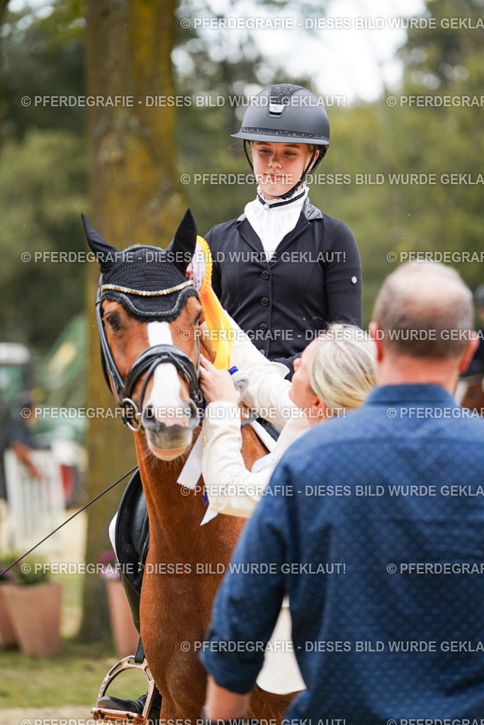 DSC06200 | Pferdegrafie