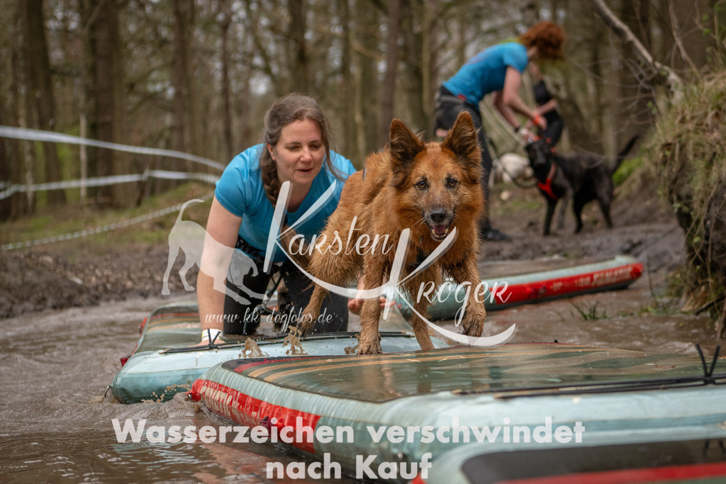 1136_ZZ93571 | kk-dogfotos