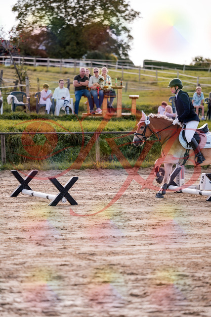 2026_10_03_Siefer-Hof_145456_Z81_35185595 | Professionelle Reitsport-, Turnier- und Eventfotografie von Robert Broda. Galerien mit ausgewählten und bearbeiteten Bildern direkt online ansehen und bestellen.