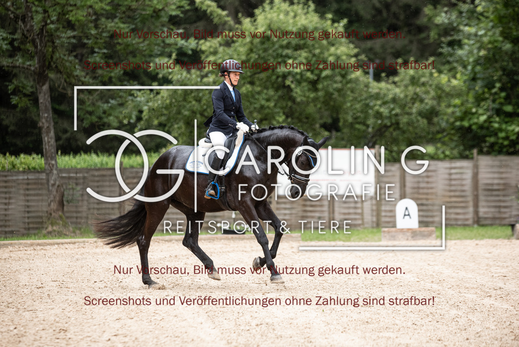 DSC_3063 | Turnierfotografin Carolin Gieschke,Reitsport Turnierfotografie Carolin G Fotografie | Turnierfotos aus Kirchheim/Teck, Esslingen, Stuttgart und dem Bodenseekreis