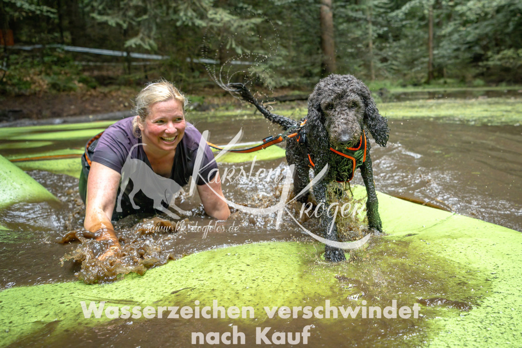1537_ZZ91451-Bearbeitet | kk-dogfotos