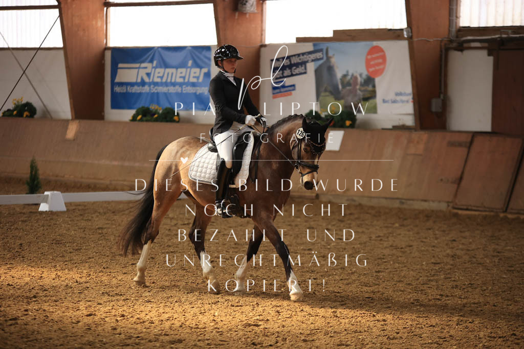 IMGT8421 | pl-fotografie