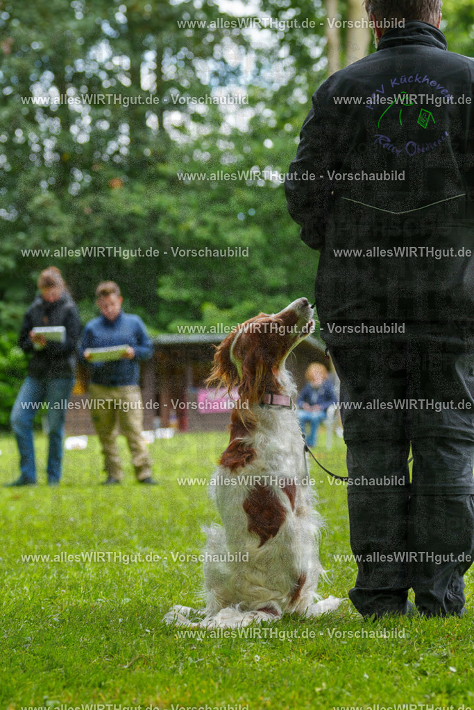 @allesWIRTHgut_Tierfotografie - www.allesWIRTHgut.de - 131442-7R509945 | Professionelle Tierfotografie in Mönchengladbach von Daniel Wirth (allesWIRTHgut). Liebevolle & natürliche Bilder von Hunden & Katzen für unvergessliche Erinnerungen.