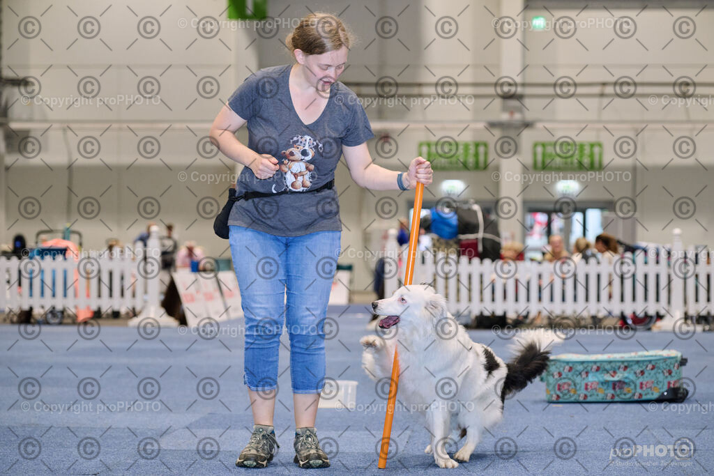 202406_ÖKV-IHA-Tulln24_NZ9_7688 | proPHOTO - Realisiert mit Pictrs.com