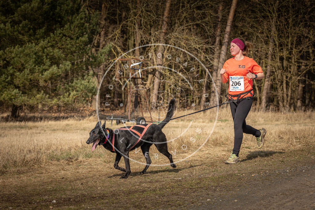 DV3A5836 | Hundefotografie, Tierfotograf, Pfotenfotografie, Fotoshooting Hund, Hunde Portrait, Hundesport, Hundeportraits, Heideshooting, Hunde, Sportfotograf, Hundefotograf, Turnierhundsport, THS,  - Realisiert mit Pictrs.com