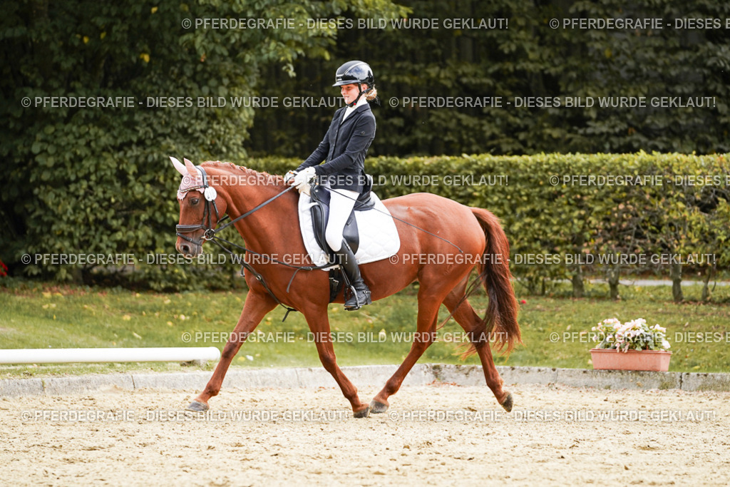 DSC00906 | Pferdegrafie